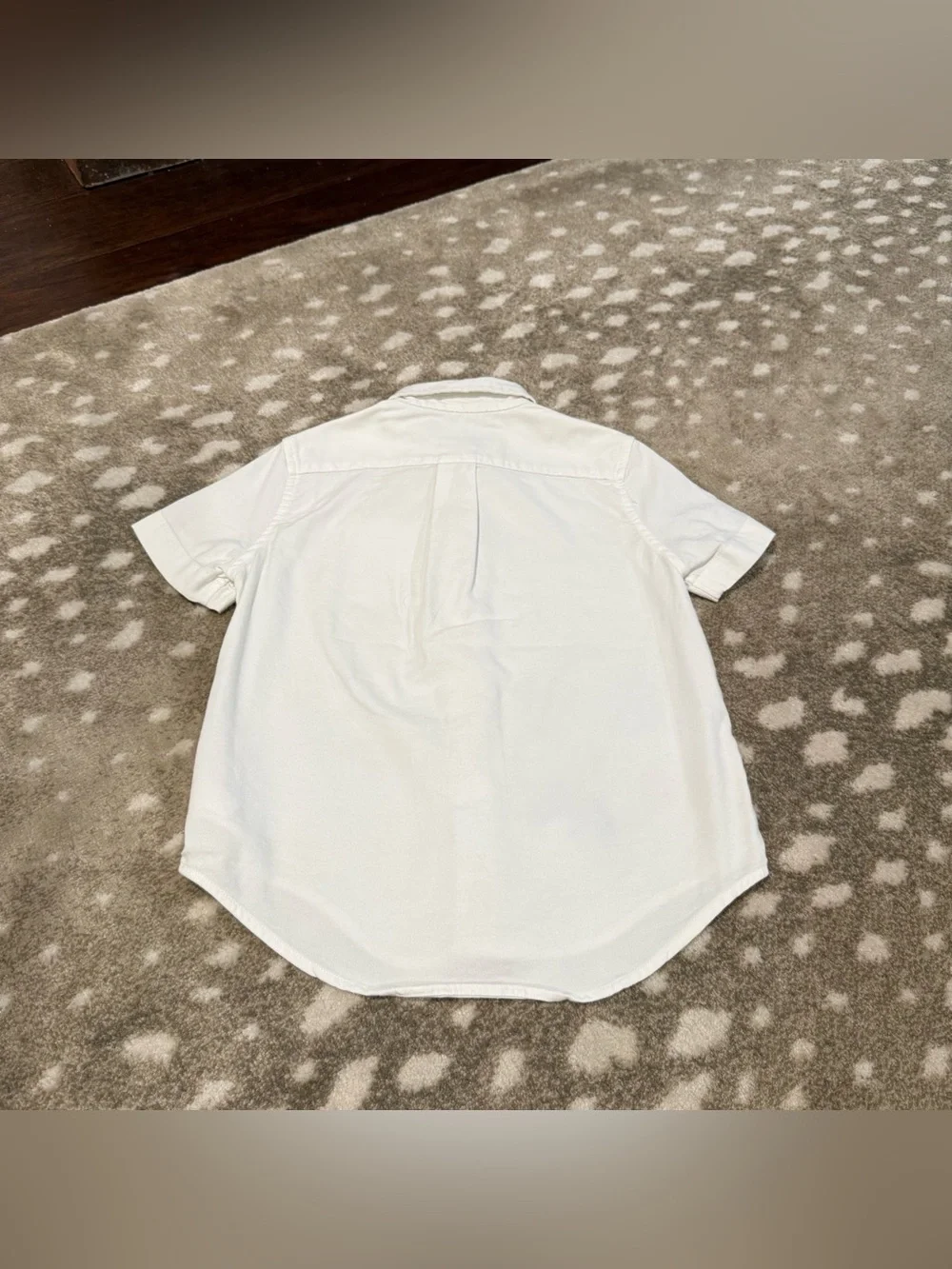 Bundle (4) Ralph Lauren/Calvin Klein Short-Sleeve Button-Down Shirts. Size 5